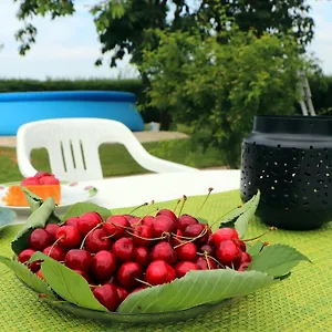  Ferienhaus Fuchsheisl